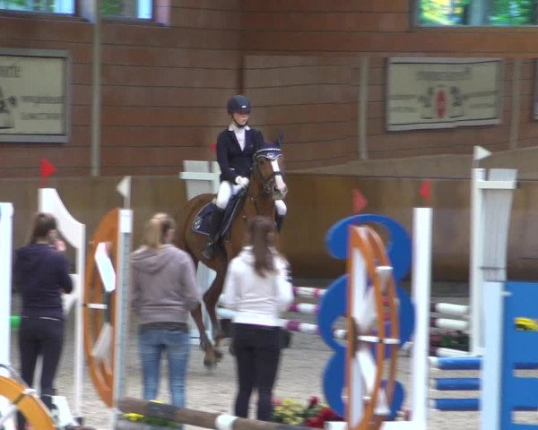 Reitturnier Mönchengladbach-Wickrath 2018
