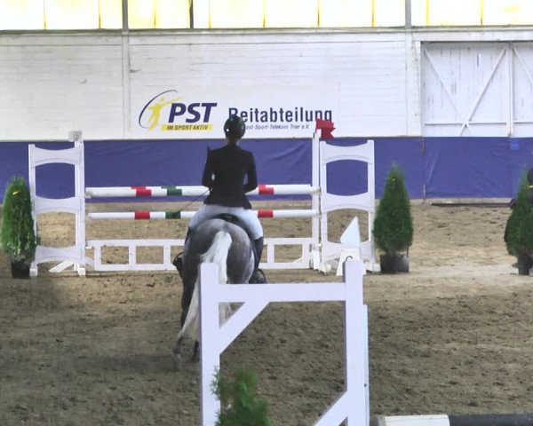 Reitturnier Trier - Hofgut Monaise / Halle 2018