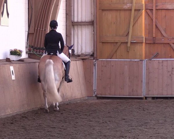 Reitturnier Kellinghusen 2018