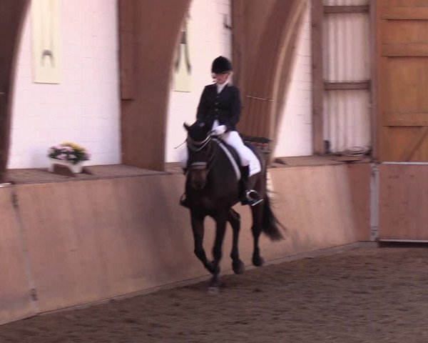 Reitturnier Kellinghusen 2018