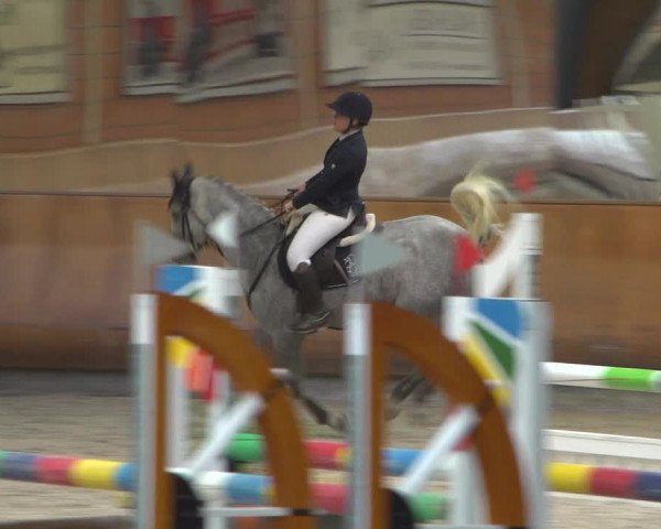 Reitturnier Mönchengladbach-Wickrath 2018