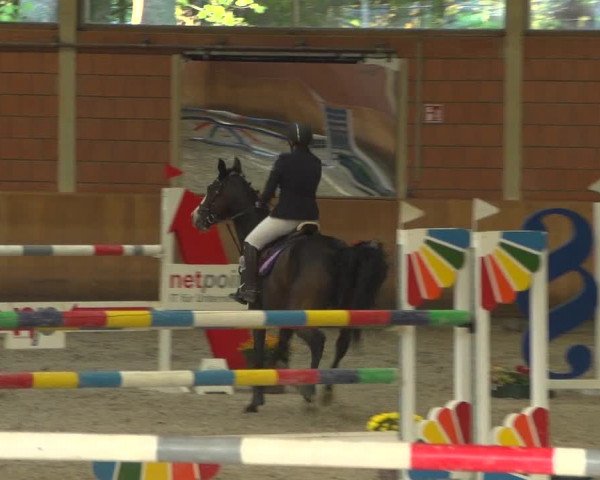 Reitturnier Mönchengladbach-Wickrath 2018
