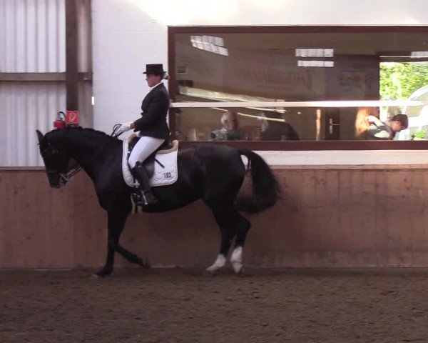 Reitturnier Kellinghusen 2018