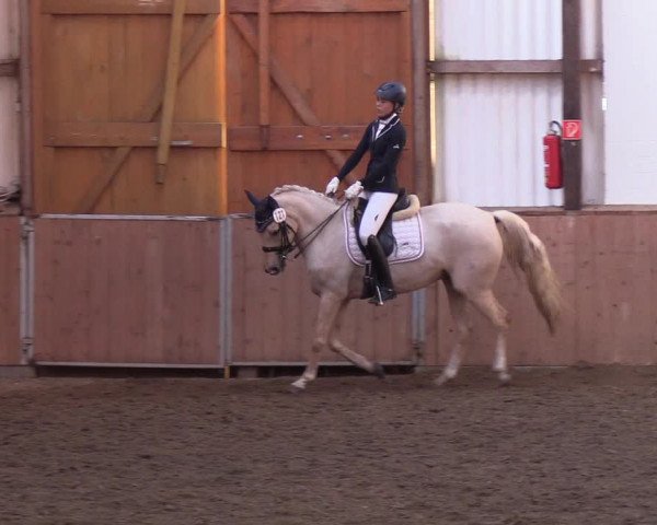 Reitturnier Kellinghusen 2018