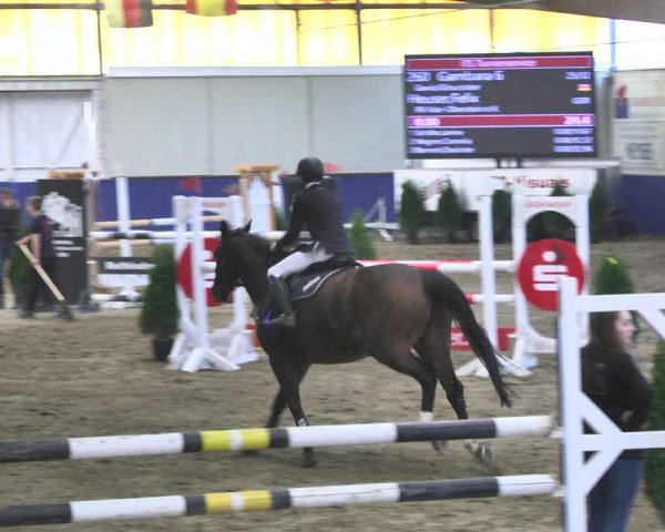Reitturnier Trier - Hofgut Monaise / Halle 2018