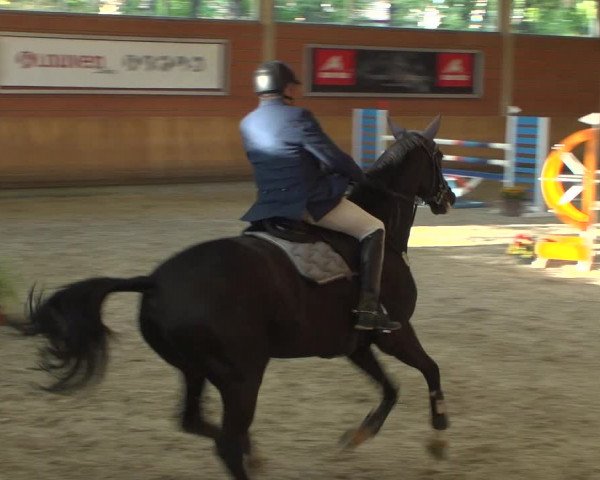 Reitturnier Mönchengladbach-Wickrath 2018