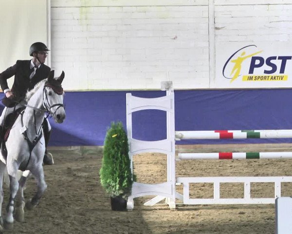 Reitturnier Trier - Hofgut Monaise / Halle 2018