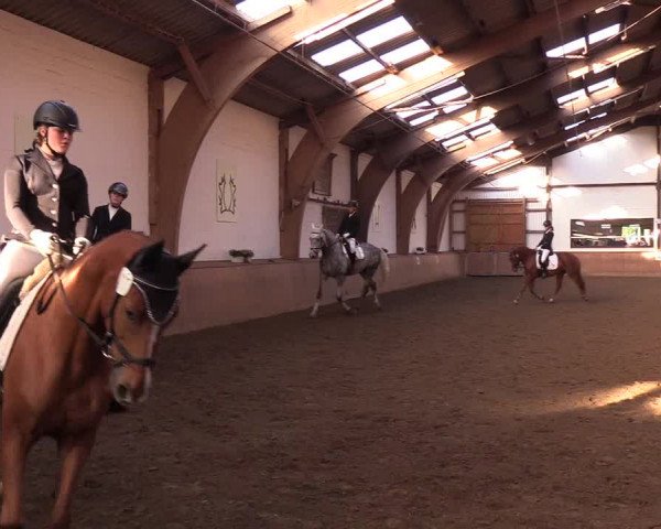 Reitturnier Kellinghusen 2018