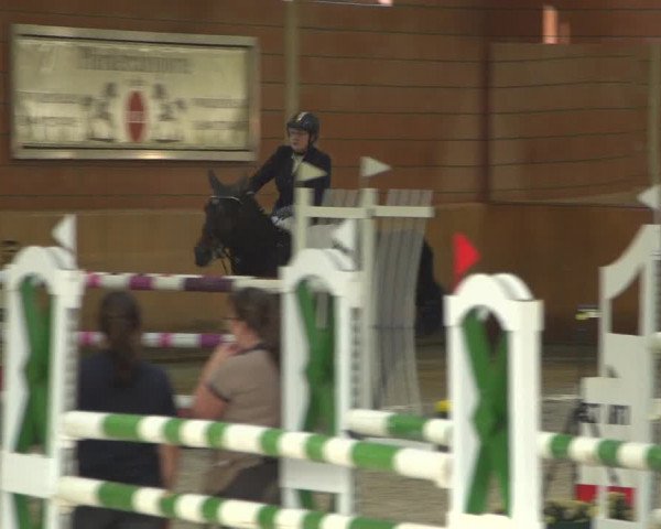 Reitturnier Mönchengladbach-Wickrath 2018