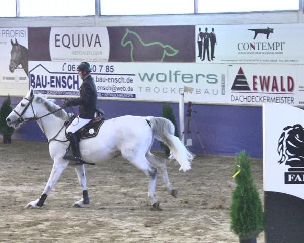 Reitturnier Trier - Hofgut Monaise / Halle 2018