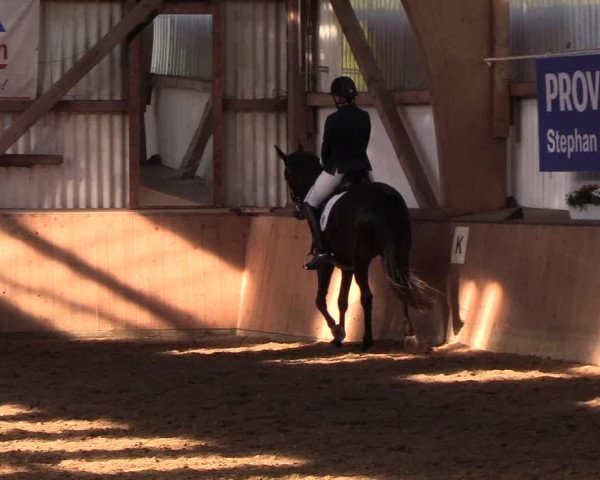 Reitturnier Kellinghusen 2018