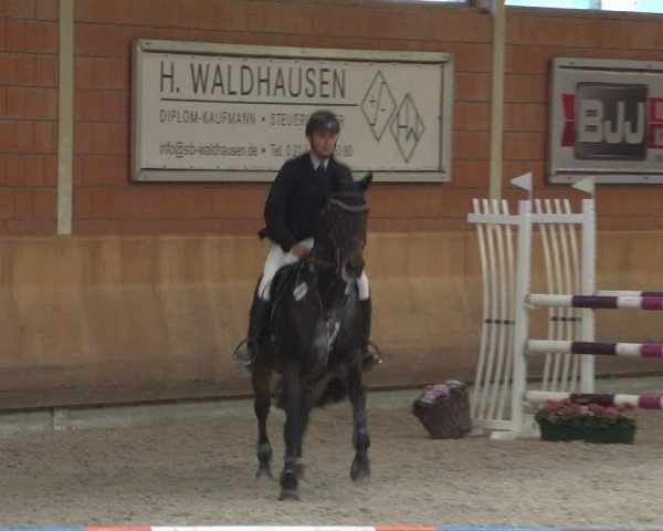 Reitturnier Mönchengladbach-Wickrath 2018