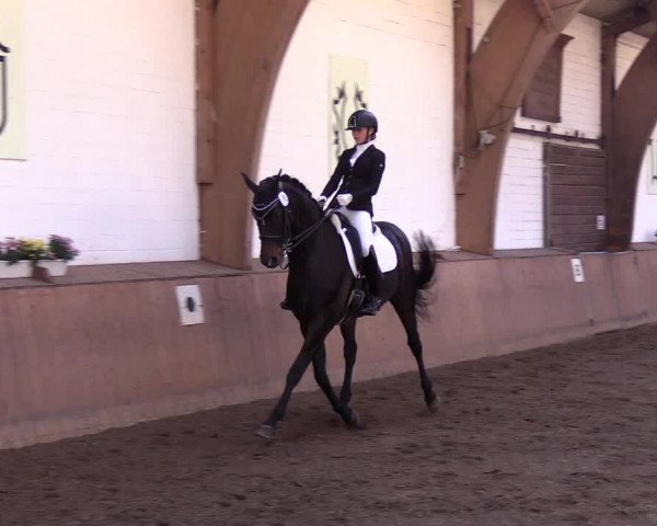 Reitturnier Kellinghusen 2018