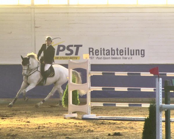 Reitturnier Trier - Hofgut Monaise / Halle 2018