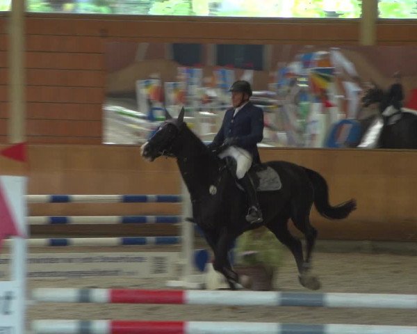 Reitturnier Mönchengladbach-Wickrath 2018