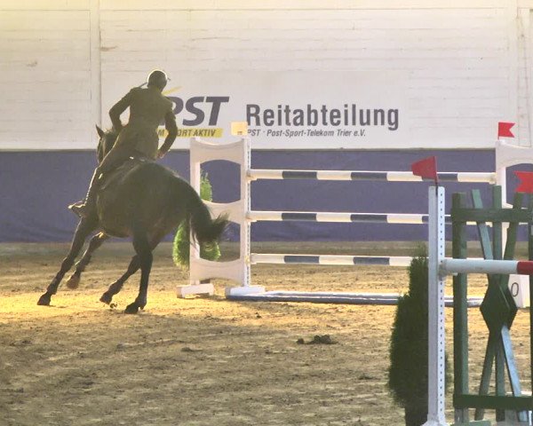 Reitturnier Trier - Hofgut Monaise / Halle 2018