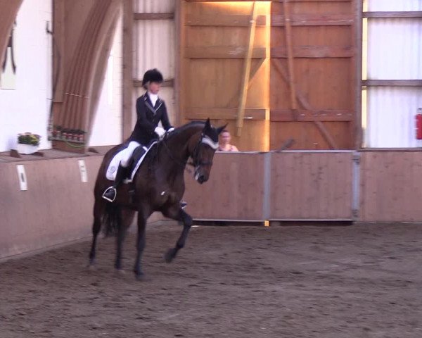 Reitturnier Kellinghusen 2018