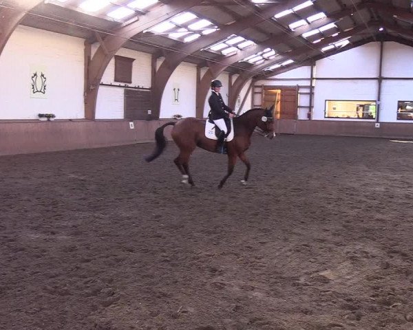 Reitturnier Kellinghusen 2018
