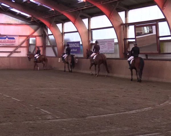 Reitturnier Kellinghusen 2018