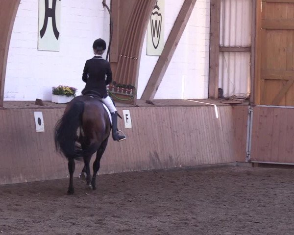 Reitturnier Kellinghusen 2018