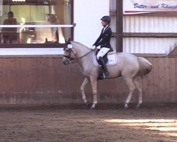 Reitturnier Kellinghusen 2018