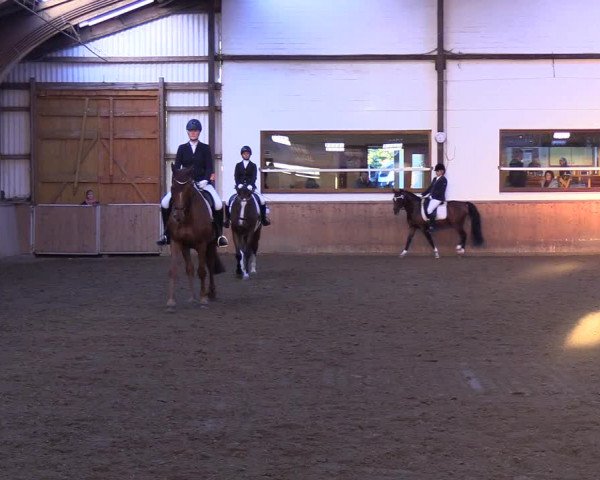 Reitturnier Kellinghusen 2018