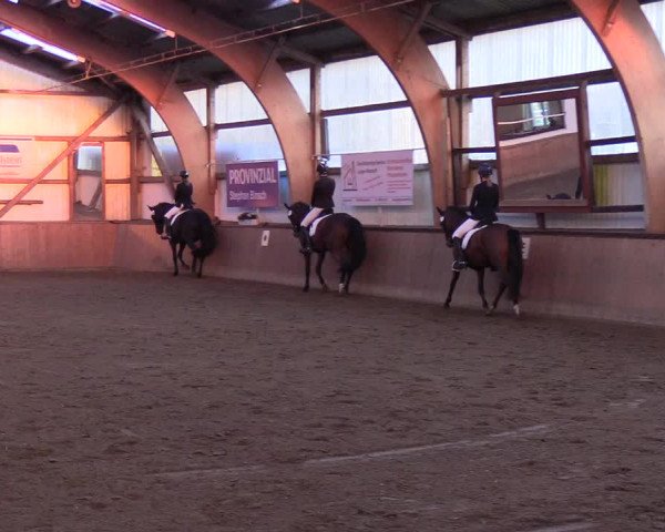 Reitturnier Kellinghusen 2018