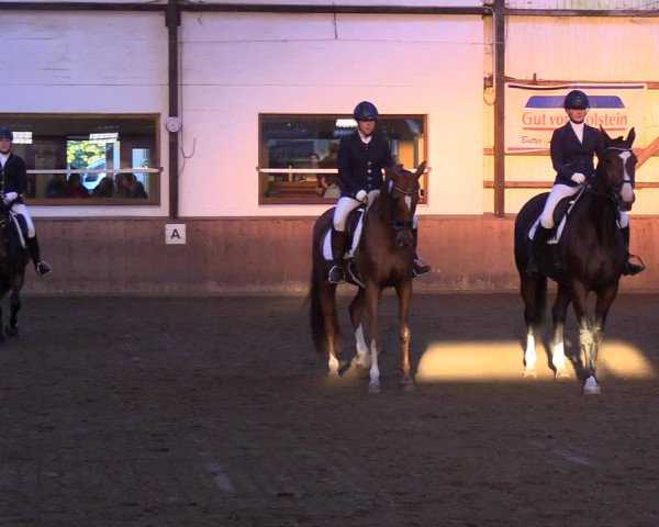 Reitturnier Kellinghusen 2018