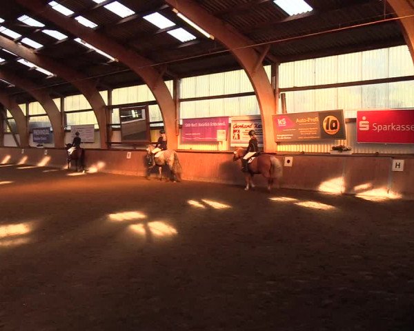Reitturnier Kellinghusen 2018