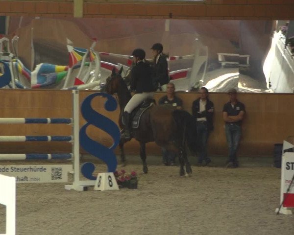 Reitturnier Mönchengladbach-Wickrath 2018