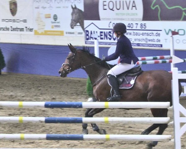 Reitturnier Trier - Hofgut Monaise / Halle 2018