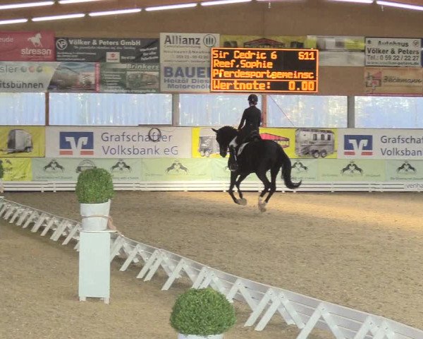 Reitturnier Isterberg 2018