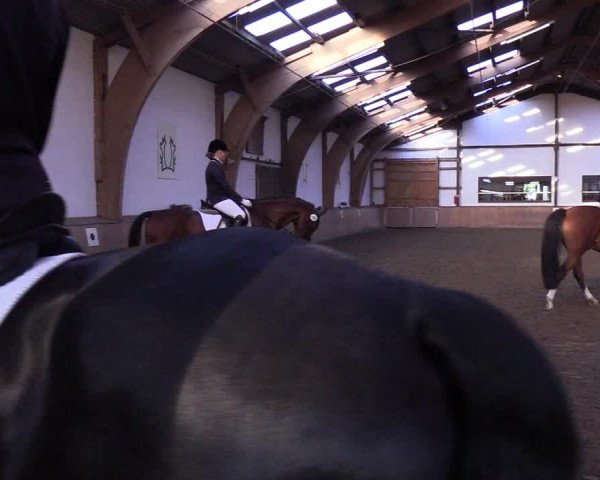 Reitturnier Kellinghusen 2018