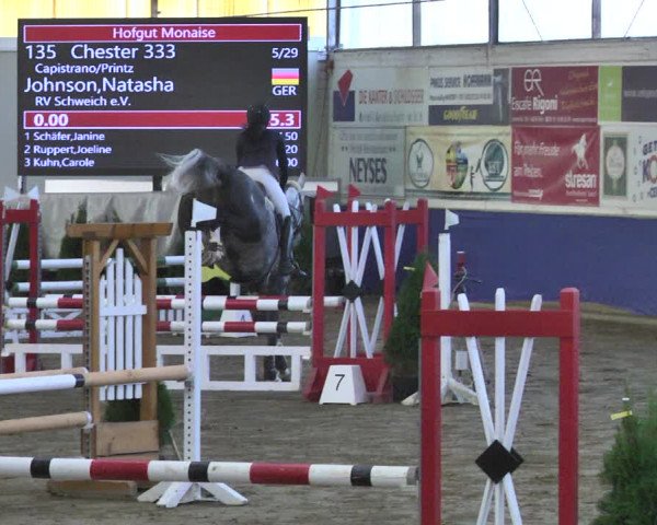 Reitturnier Trier - Hofgut Monaise / Halle 2018