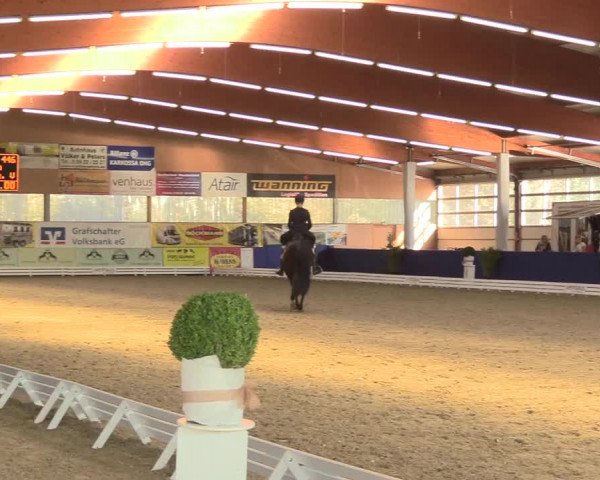 Reitturnier Isterberg 2018