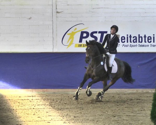 Reitturnier Trier - Hofgut Monaise / Halle 2018
