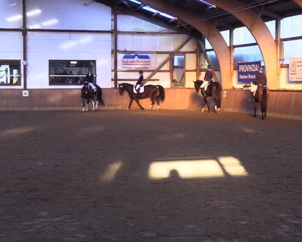 Reitturnier Kellinghusen 2018
