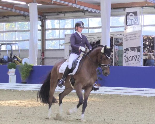 Reitturnier Isterberg 2018