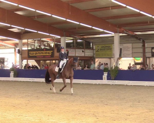 Reitturnier Isterberg 2018