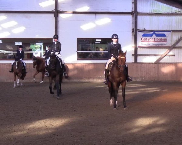 Reitturnier Kellinghusen 2018