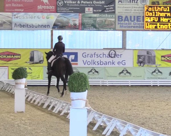 Reitturnier Isterberg 2018