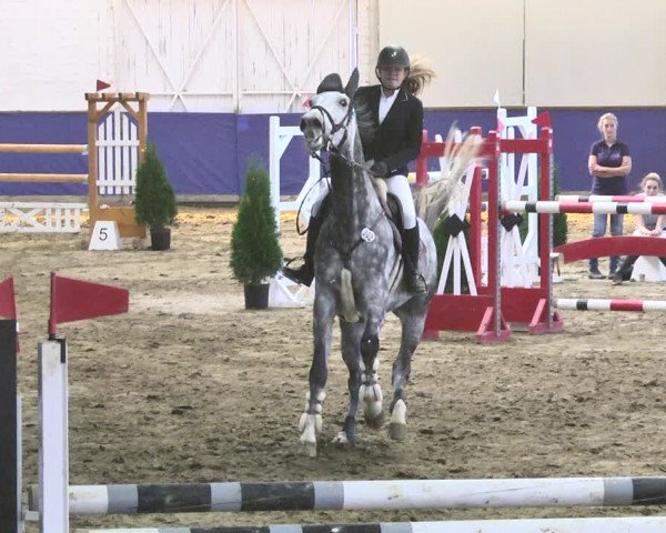 Reitturnier Trier - Hofgut Monaise / Halle 2018