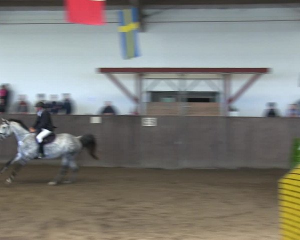 Reitturnier St. Peter Ording 2018