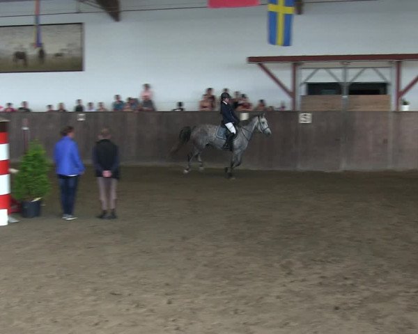 Reitturnier St. Peter Ording 2018