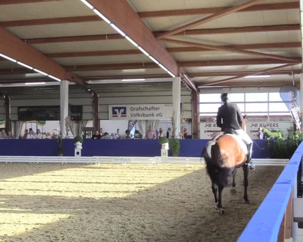 Reitturnier Isterberg 2018