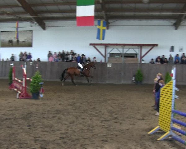 Reitturnier St. Peter Ording 2018