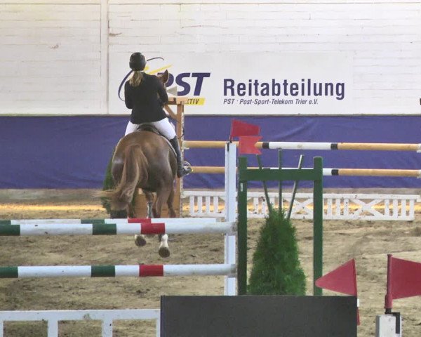 Reitturnier Trier - Hofgut Monaise / Halle 2018
