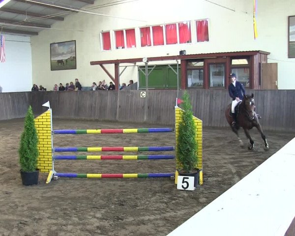 Reitturnier St. Peter Ording 2018