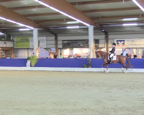Reitturnier Isterberg 2018