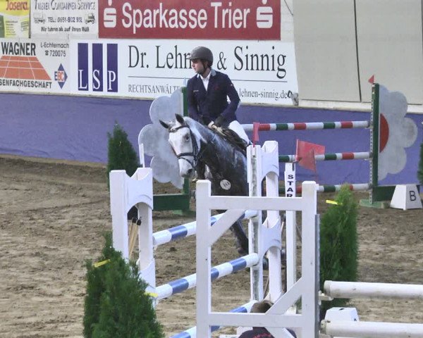 Reitturnier Trier - Hofgut Monaise / Halle 2018
